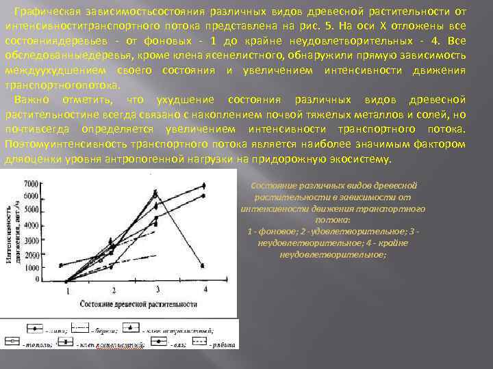 Графическая зависимостьсостояния различных видов древесной растительности от интенсивноститранспортного потока представлена на рис. 5. На
