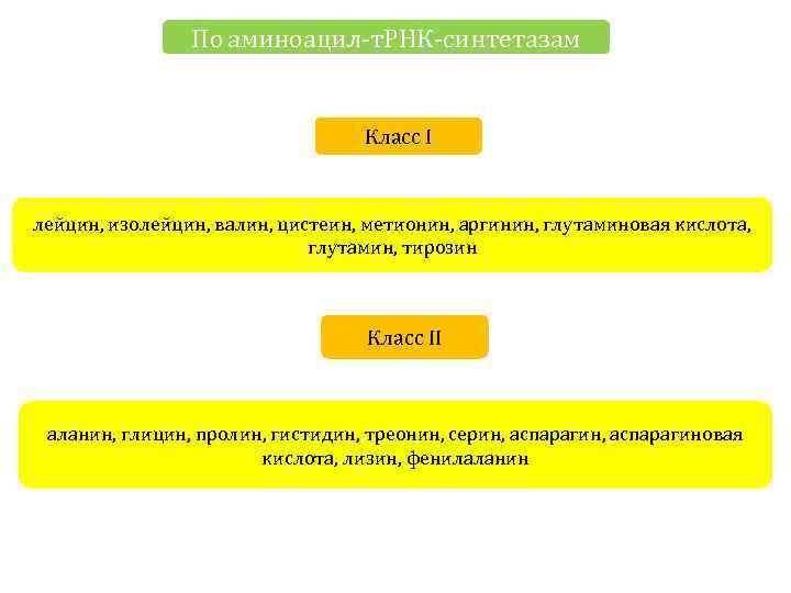 По аминоацил-т. РНК-синтетазам Класс I лейцин, изолейцин, валин, цистеин, метионин, аргинин, глутаминовая кислота, глутамин,