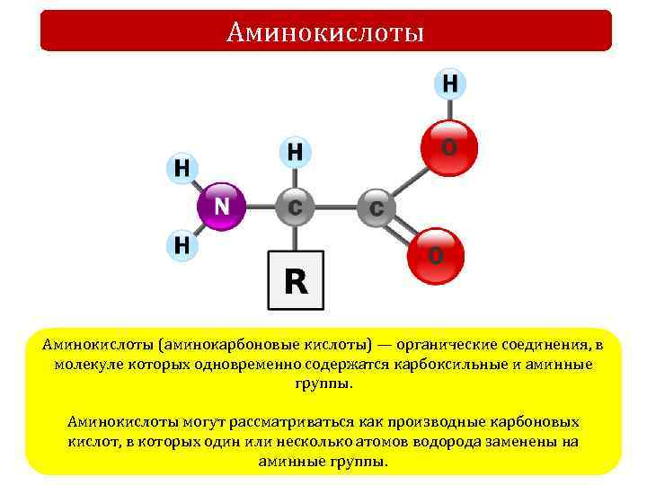 Аминокислоты (аминокарбоновые кислоты) — органические соединения, в молекуле которых одновременно содержатся карбоксильные и аминные