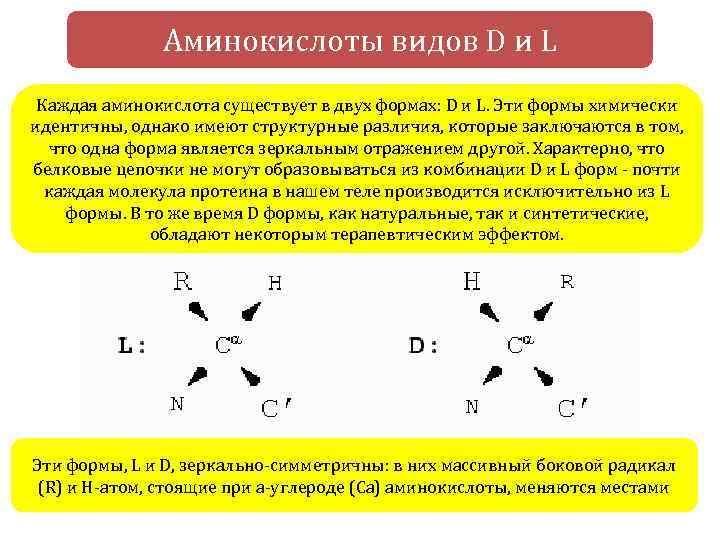 Аминокислоты видов D и L Каждая аминокислота существует в двух формах: D и L.