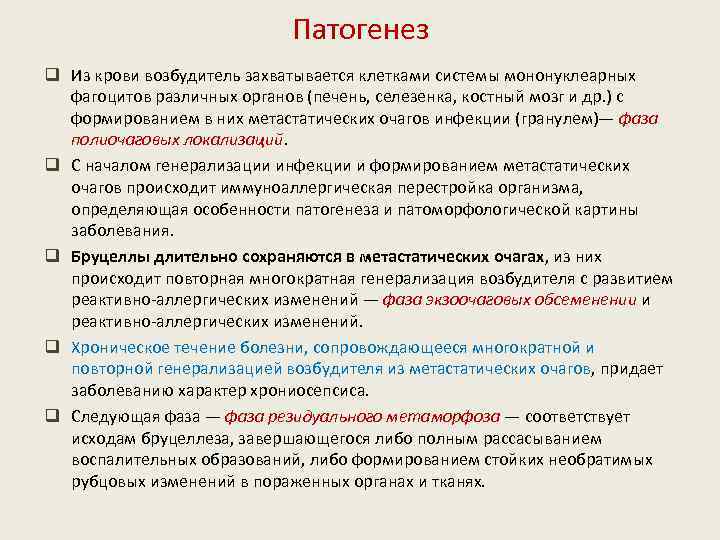 Патогенез q Из крови возбудитель захватывается клетками системы мононуклеарных фагоцитов различных органов (печень, селезенка,