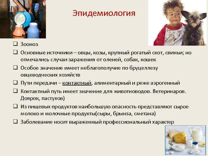 Эпидемиология q Зооноз q Основные источники – овцы, козы, крупный рогатый скот, свиньи; но
