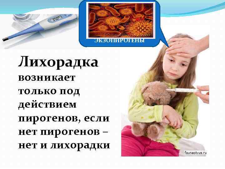 ЭКЗОПИРОГЕНЫ Лихорадка возникает только под действием пирогенов, если нет пирогенов – нет и лихорадки