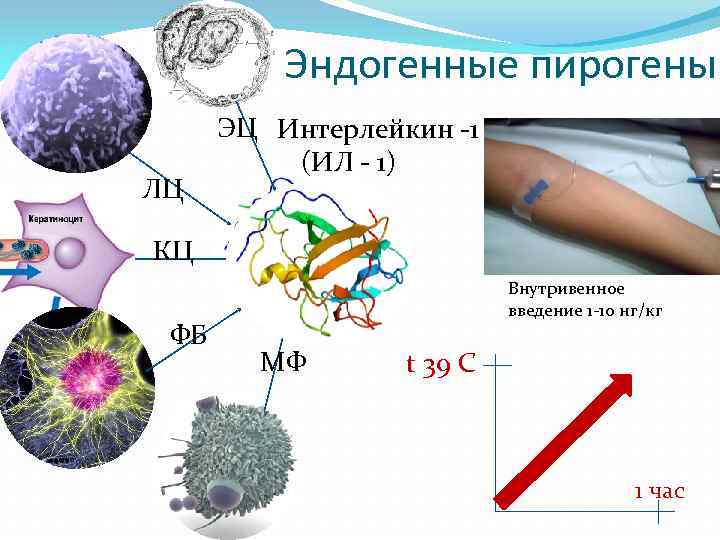 Острые лихорадки классификация клиническая картина возможные осложнения