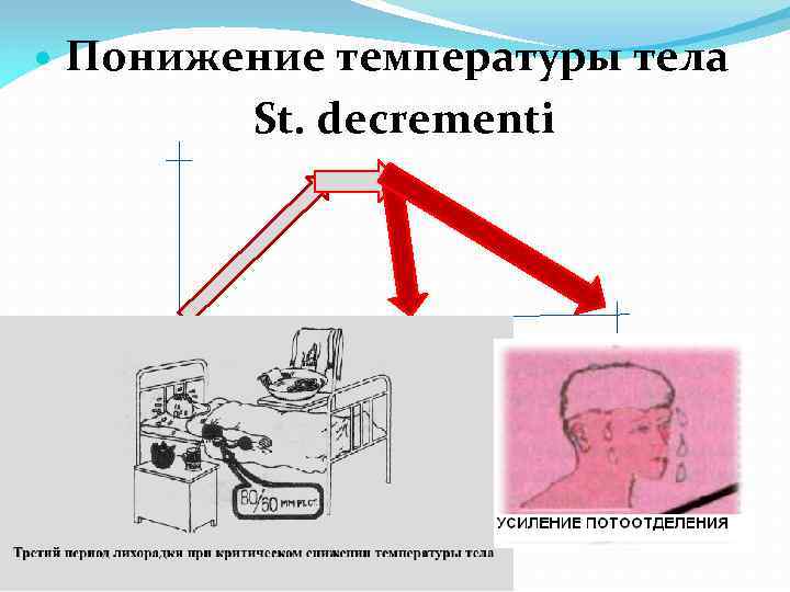 Понижение температуры тела St. decrementi 