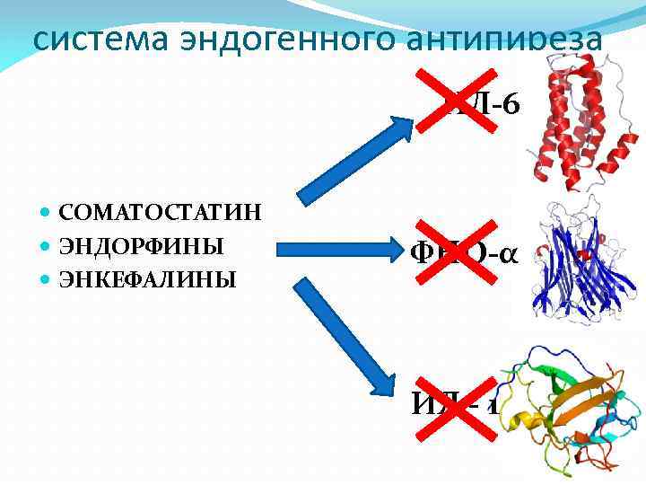 система эндогенного антипиреза ИЛ-6 СОМАТОСТАТИН ЭНДОРФИНЫ ЭНКЕФАЛИНЫ ФНО-α ИЛ - 1 