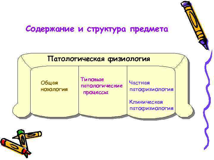 Содержание и структура предмета Патологическая физиология Общая нозология Типовые патологические процессы Частная патофизиология Клиническая