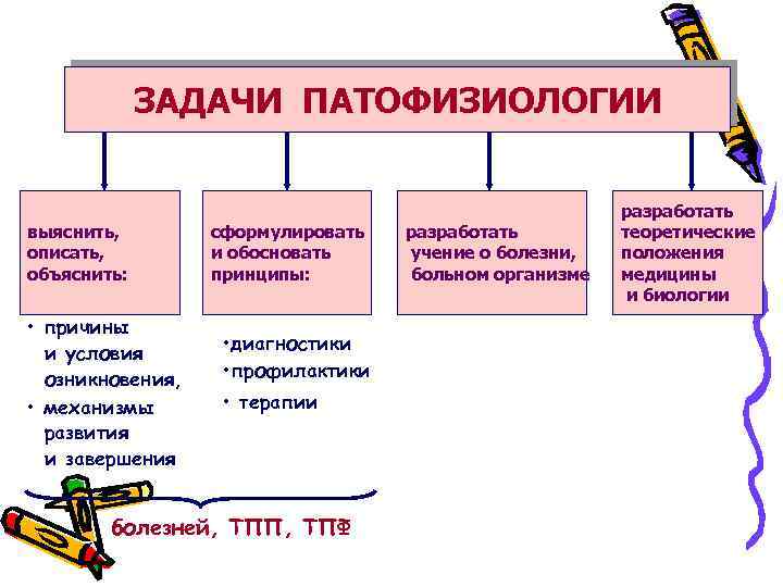 История развития патологической физиологии презентация