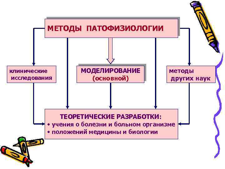 МЕТОДЫ ПАТОФИЗИОЛОГИИ клинические исследования МОДЕЛИРОВАНИЕ (основной) ТЕОРЕТИЧЕСКИЕ РАЗРАБОТКИ: методы других наук • учения о