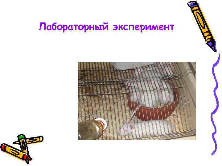 Лабораторный эксперимент 