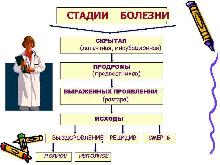 СТАДИИ БОЛЕЗНИ СКРЫТАЯ (латентная, инкубационная) ПРОДРОМЫ (предвестников) ВЫРАЖЕННЫХ ПРОЯВЛЕНИЙ (разгара) ИСХОДЫ ВЫЗДОРОВЛЕНИЕ ПОЛНОЕ НЕПОЛНОЕ