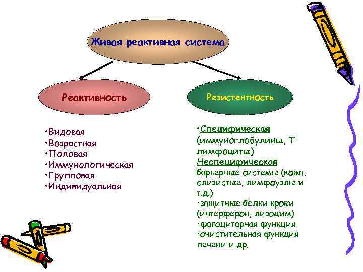 Живая реактивная система Реактивность • Видовая • Возрастная • Половая • Иммунологическая • Групповая