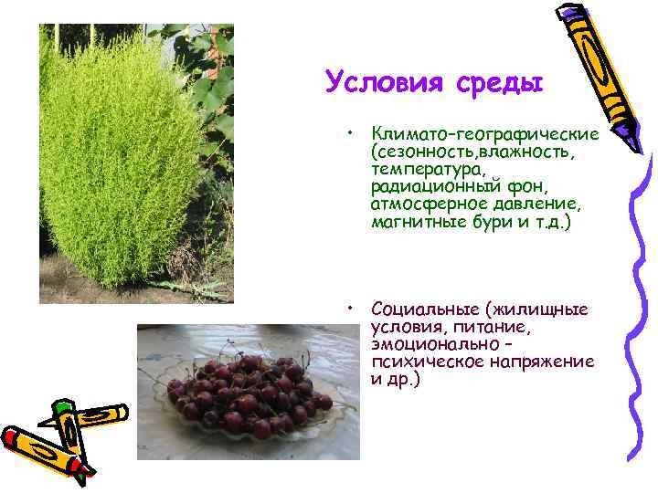 Условия среды • Климато–географические (сезонность, влажность, температура, радиационный фон, атмосферное давление, магнитные бури и