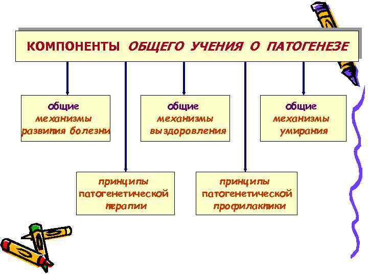 КОМПОНЕНТЫ ОБЩЕГО УЧЕНИЯ О ПАТОГЕНЕЗЕ общие механизмы развития болезни общие механизмы выздоровления принципы патогенетической