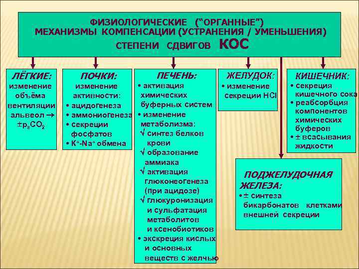 ФИЗИОЛОГИЧЕСКИЕ (“ОРГАННЫЕ”) МЕХАНИЗМЫ КОМПЕНСАЦИИ (УСТРАНЕНИЯ / УМЕНЬШЕНИЯ) СТЕПЕНИ СДВИГОВ ЛЁГКИЕ: ПОЧКИ: изменение объёма вентиляции