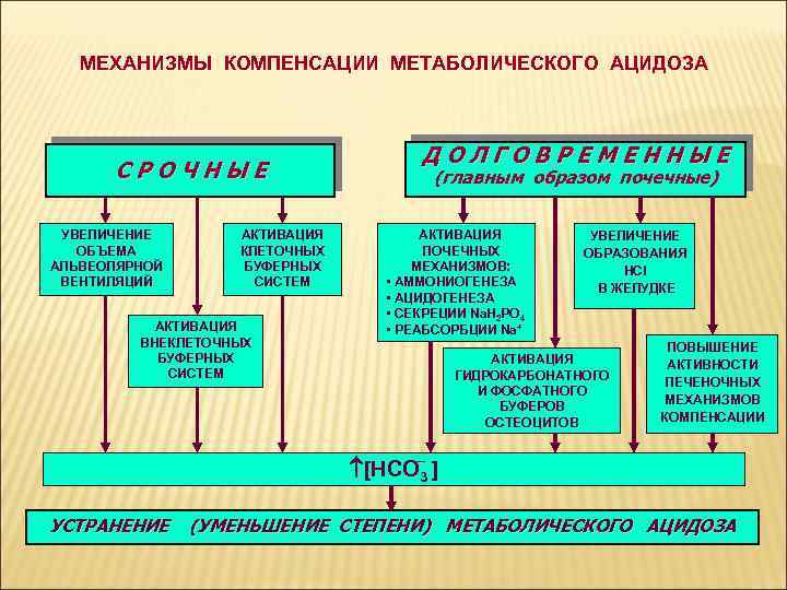 МЕХАНИЗМЫ КОМПЕНСАЦИИ МЕТАБОЛИЧЕСКОГО АЦИДОЗА СРОЧНЫЕ УВЕЛИЧЕНИЕ ОБЪЕМА АЛЬВЕОЛЯРНОЙ ВЕНТИЛЯЦИЙ АКТИВАЦИЯ КЛЕТОЧНЫХ БУФЕРНЫХ СИСТЕМ АКТИВАЦИЯ