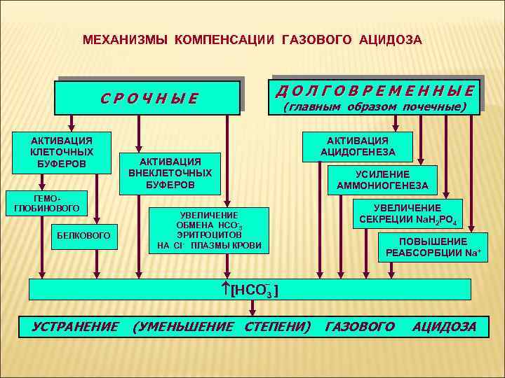 Механизмы компенсации. Механизмы компенсации газового ацидоза. Механизмы компенсации кос. Механизмы компенсации метаболического ацидоза. Компенсация газовый ацидоз схема.