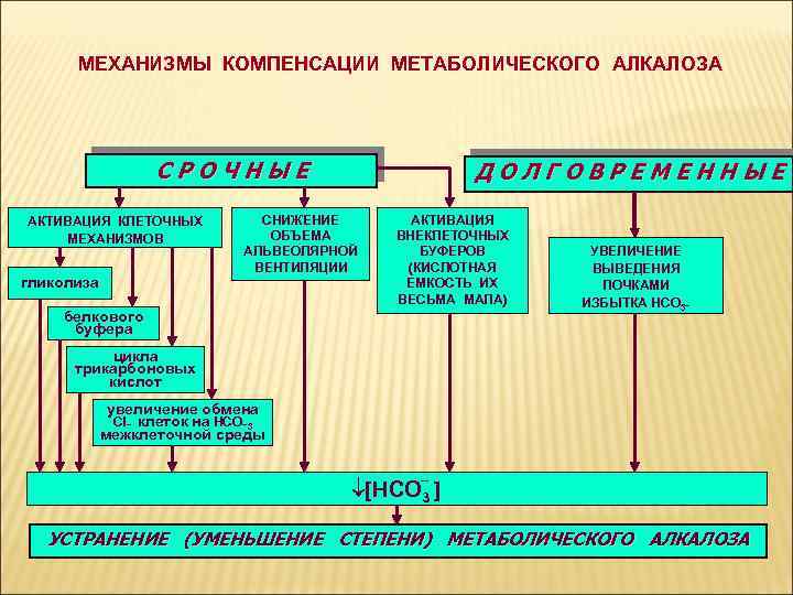 МЕХАНИЗМЫ КОМПЕНСАЦИИ МЕТАБОЛИЧЕСКОГО АЛКАЛОЗА СРОЧНЫЕ АКТИВАЦИЯ КЛЕТОЧНЫХ МЕХАНИЗМОВ гликолиза ДОЛГОВРЕМЕННЫЕ СНИЖЕНИЕ ОБЪЕМА АЛЬВЕОЛЯРНОЙ ВЕНТИЛЯЦИИ