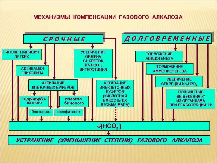МЕХАНИЗМЫ КОМПЕНСАЦИИ ГАЗОВОГО АЛКАЛОЗА ДОЛГОВРЕМЕННЫЕ СРОЧНЫЕ УВЕЛИЧЕНИЕ ОБМЕНА Cl- КЛЕТОК НА НСО_3 ИНТЕРСТИЦИЯ ГИПОВЕНТИЛЯЦИЯ