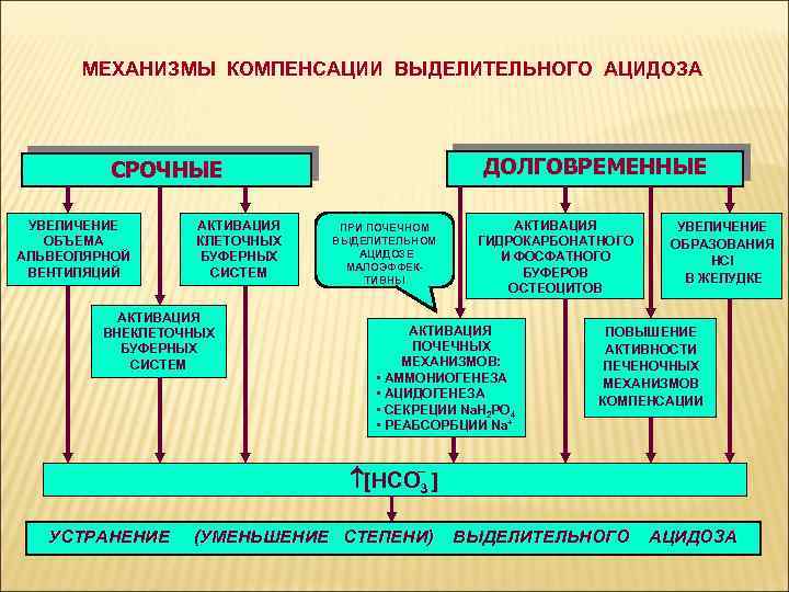МЕХАНИЗМЫ КОМПЕНСАЦИИ ВЫДЕЛИТЕЛЬНОГО АЦИДОЗА ДОЛГОВРЕМЕННЫЕ СРОЧНЫЕ УВЕЛИЧЕНИЕ ОБЪЕМА АЛЬВЕОЛЯРНОЙ ВЕНТИЛЯЦИЙ АКТИВАЦИЯ КЛЕТОЧНЫХ БУФЕРНЫХ СИСТЕМ