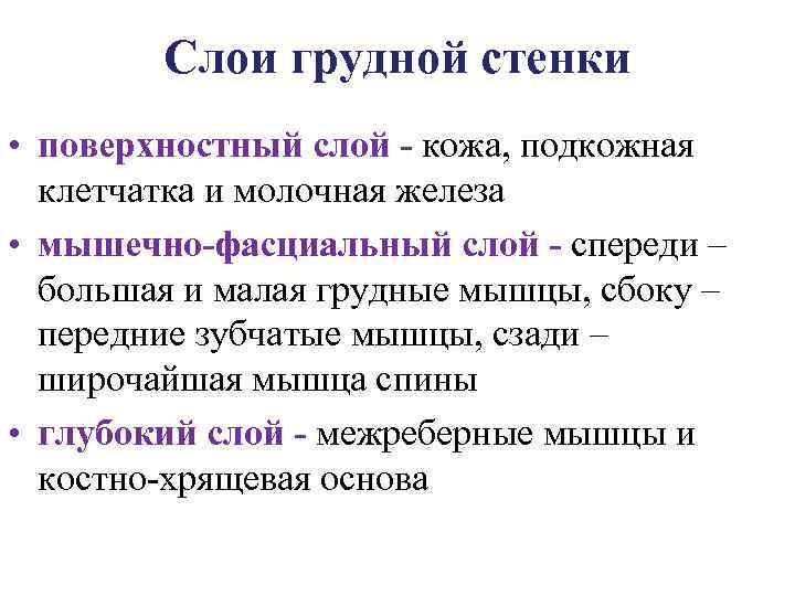 Слои грудной стенки • поверхностный слой - кожа, подкожная клетчатка и молочная железа •