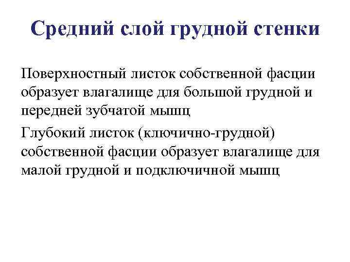 Средний слой грудной стенки Поверхностный листок собственной фасции образует влагалище для большой грудной и