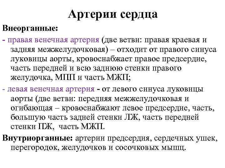 Артерии сердца Внеорганные: - правая венечная артерия (две ветви: правая краевая и задняя межжелудочковая)
