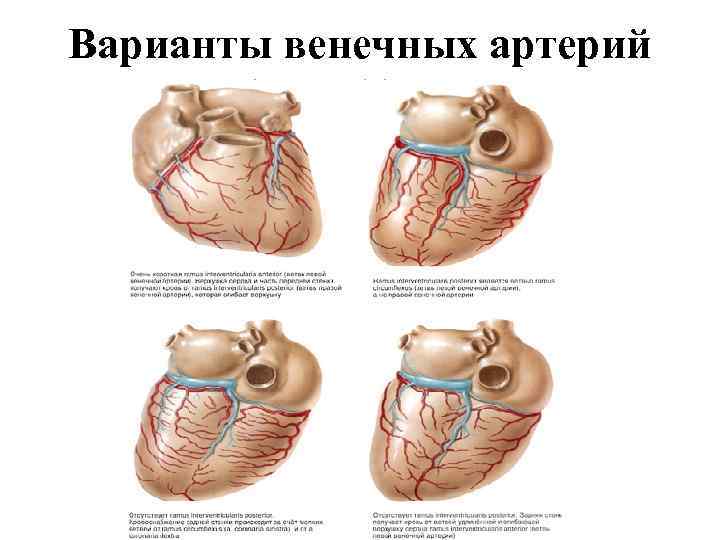 Операции на грудной стенке