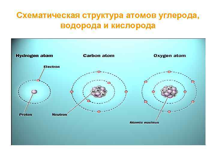 Схематическая структура атомов углерода, водорода и кислорода 