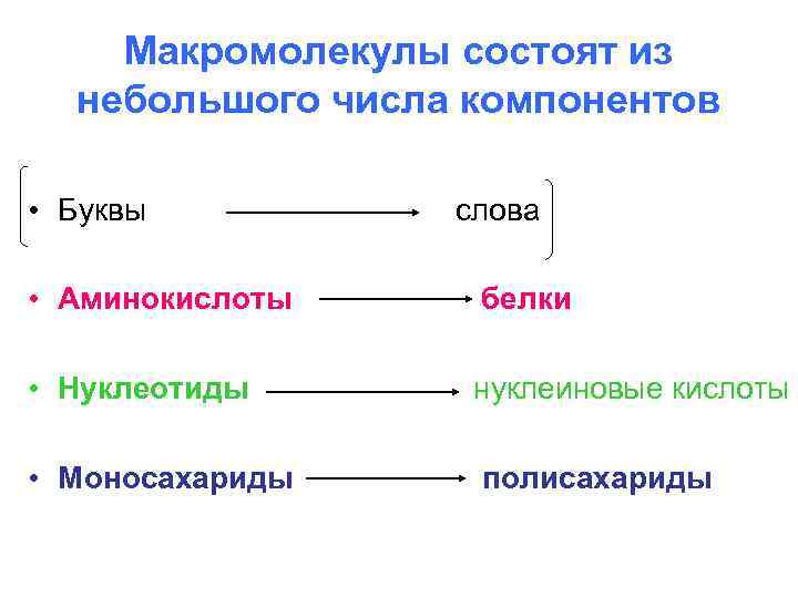 Макромолекулы состоят из небольшого числа компонентов • Буквы слова • Аминокислоты белки • Нуклеотиды