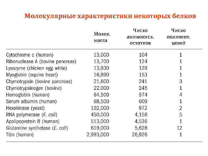 Молекулярные характеристики некоторых белков Молек. масса Число аминокисл. остатков Число полипепт. цепей 