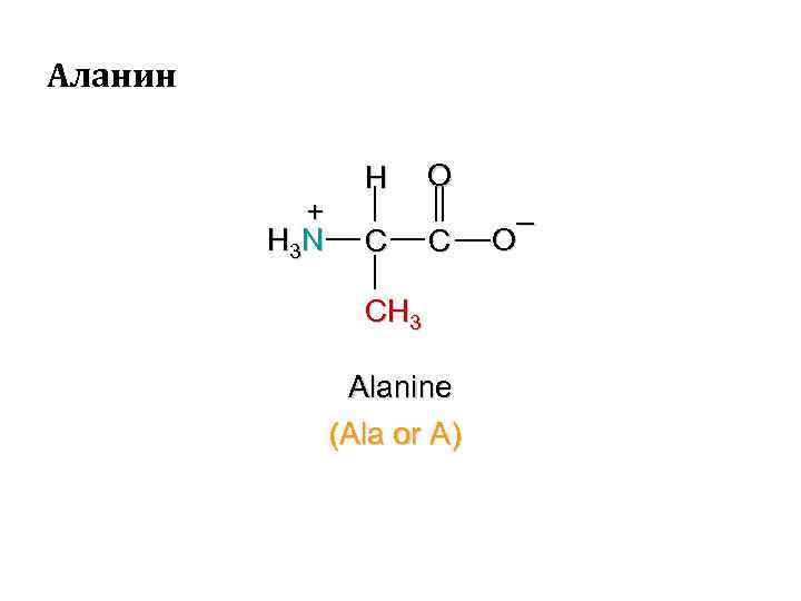 Аланин c2h5oh. Аланин структурная формула. Аланин структура. Аланин + ch3cl.