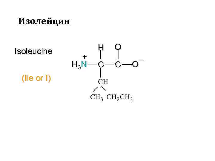 Изолейцин Isoleucine (Ile or I) + H 3 N H C O C –