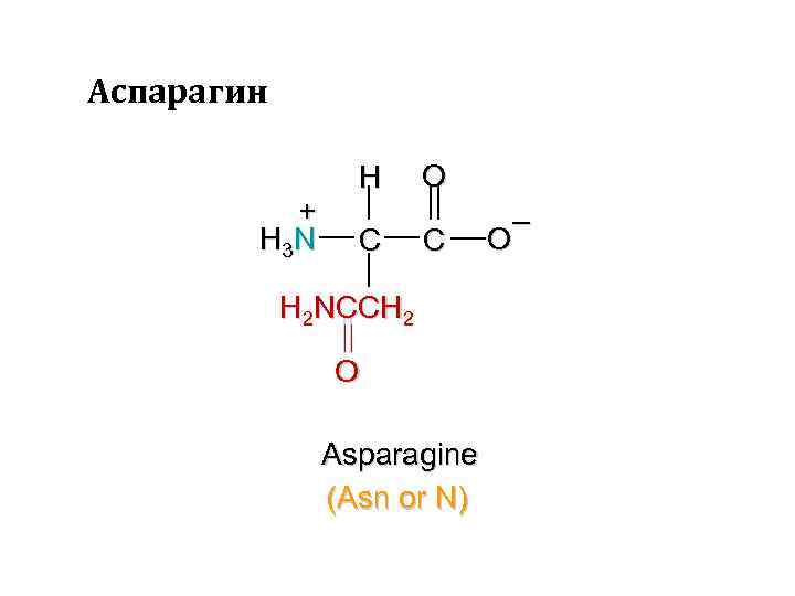 Аспарагин + H 3 N H C O C H 2 NCCH 2 O