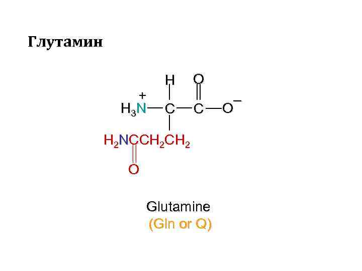 Глутамин + H 3 N H C O C H 2 NCCH 2 O