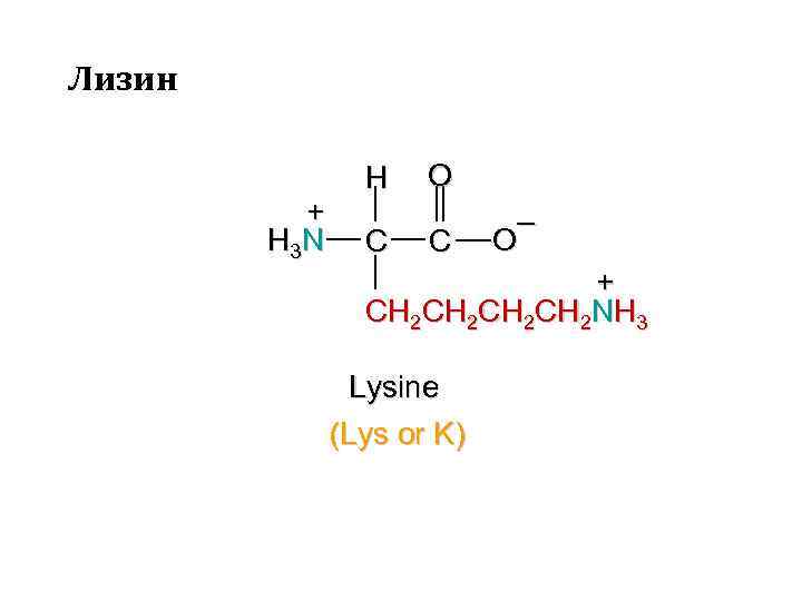 Лизин формула. Лизин. LYS лизин. Лизин формула биохимия. Распад лизина.