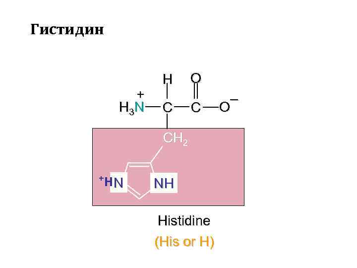 Гистидин для чего. Гистидин ионизированная форма. Гистидин структурная формула. Гистидин строение.