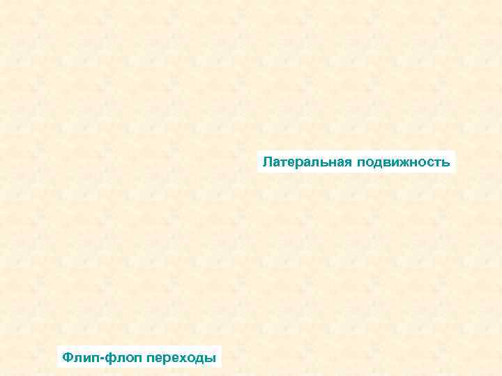 Латеральная подвижность Флип-флоп переходы 