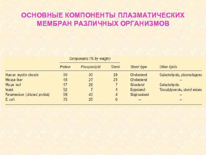 ОСНОВНЫЕ КОМПОНЕНТЫ ПЛАЗМАТИЧЕСКИХ МЕМБРАН РАЗЛИЧНЫХ ОРГАНИЗМОВ 