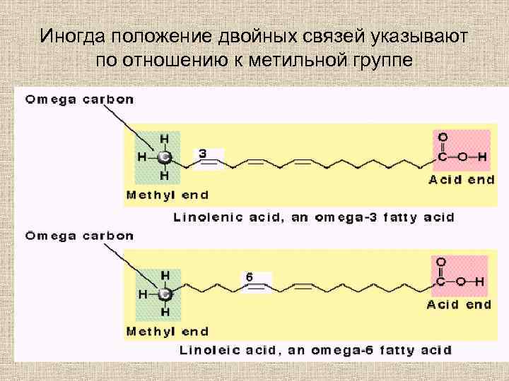 Иногда положение двойных связей указывают по отношению к метильной группе 