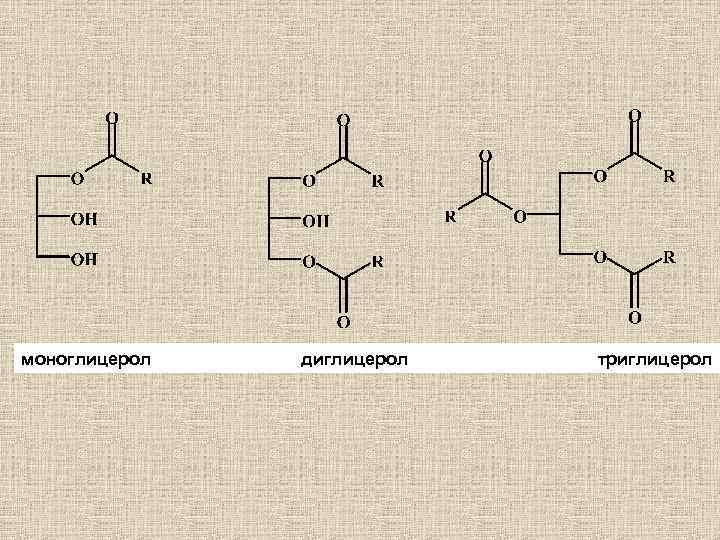 моноглицерол диглицерол триглицерол 