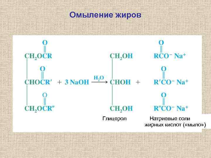 Схема образования жиров