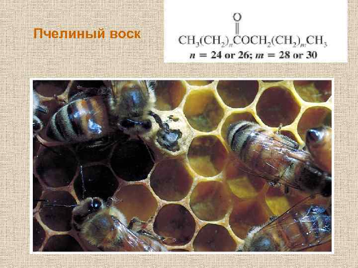 Пчелиный воск 