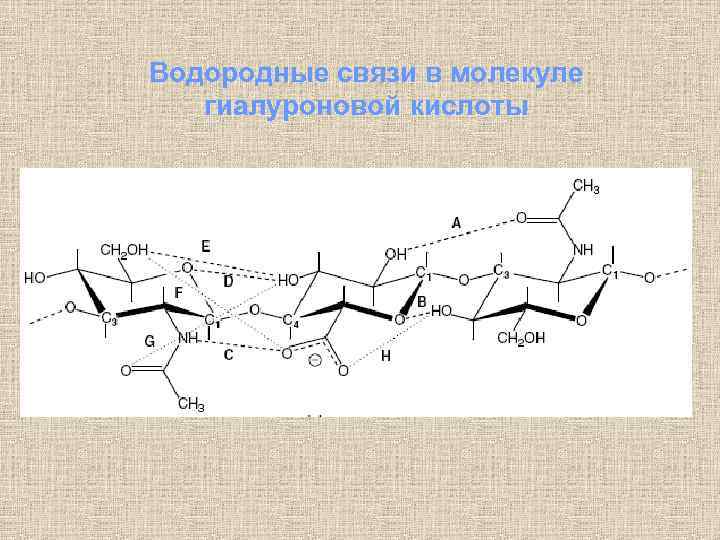 Фото молекулы гиалуроновой кислоты