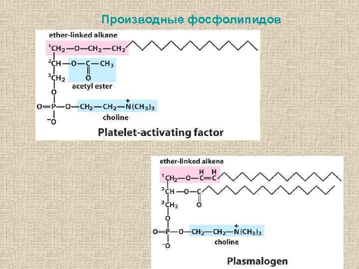 Производные фосфолипидов 