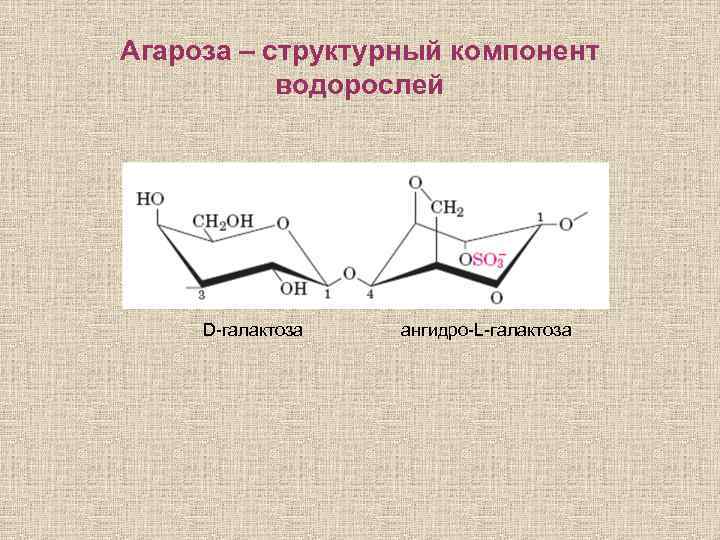 Агароза – структурный компонент водорослей D-галактоза ангидро-L-галактоза 