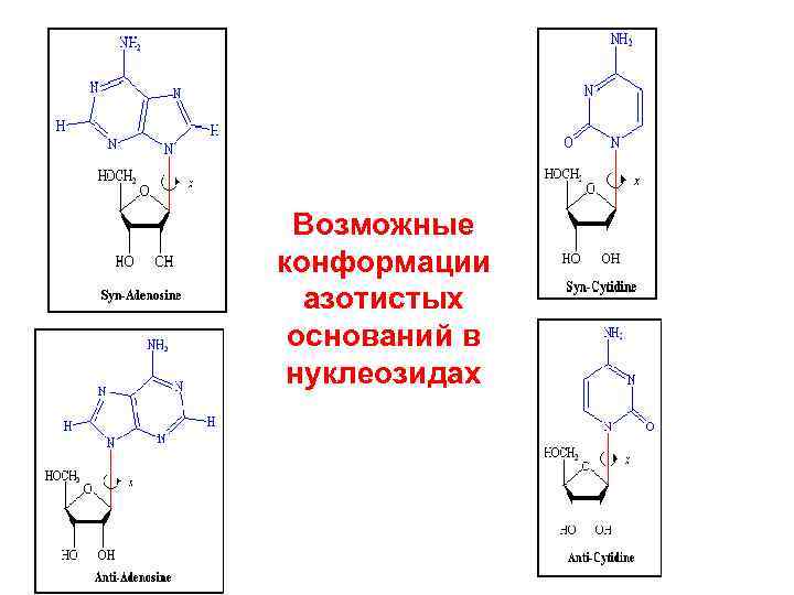 Возможные конформации азотистых оснований в нуклеозидах 