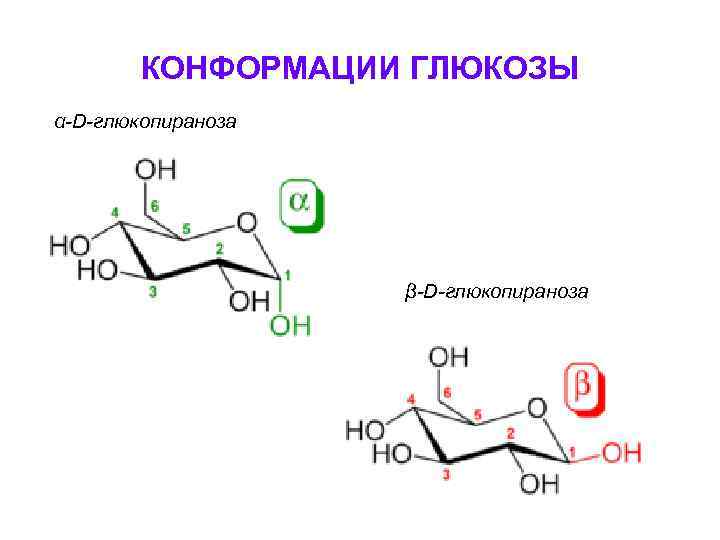 КОНФОРМАЦИИ ГЛЮКОЗЫ α-D-глюкопираноза β-D-глюкопираноза 