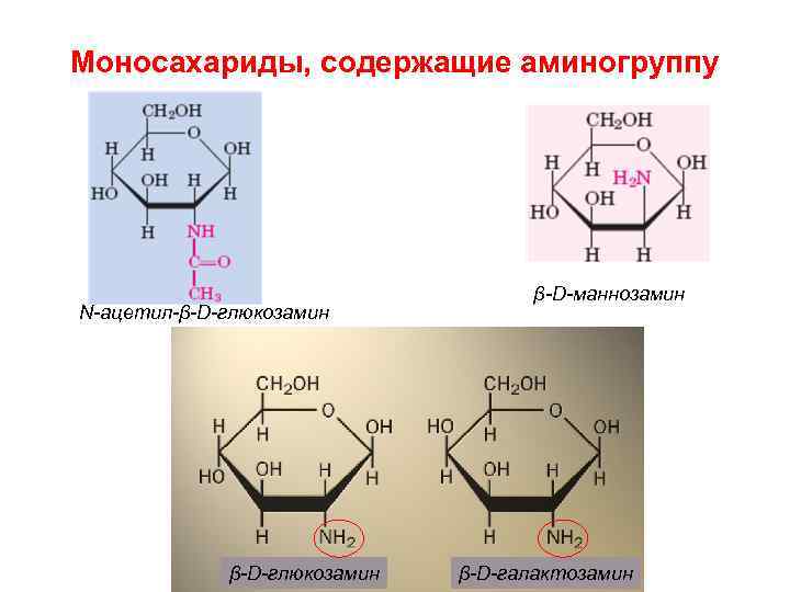 Моносахариды, содержащие аминогруппу N-ацетил-β-D-глюкозамин β-D-маннозамин β-D-галактозамин 