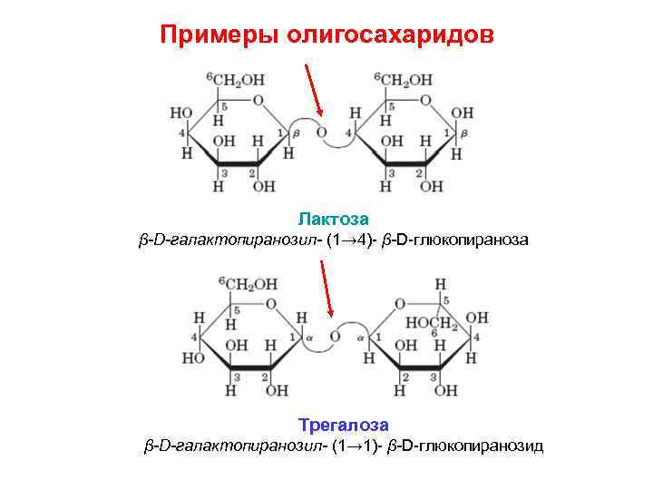 Примеры олигосахаридов Лактоза β-D-галактопиранозил- (1→ 4)- β-D-глюкопираноза Трегалоза β-D-галактопиранозил- (1→ 1)- β-D-глюкопиранозид 